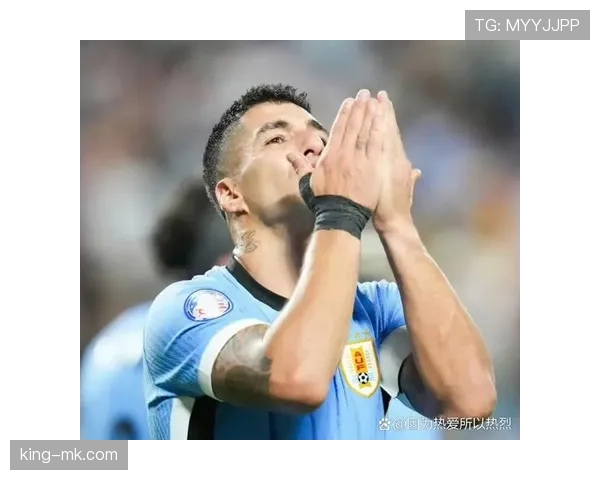 乌拉圭队战术细节